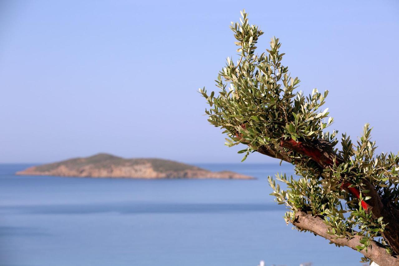 Elia Privileged Suites Andros Ανδροσ 외부 사진